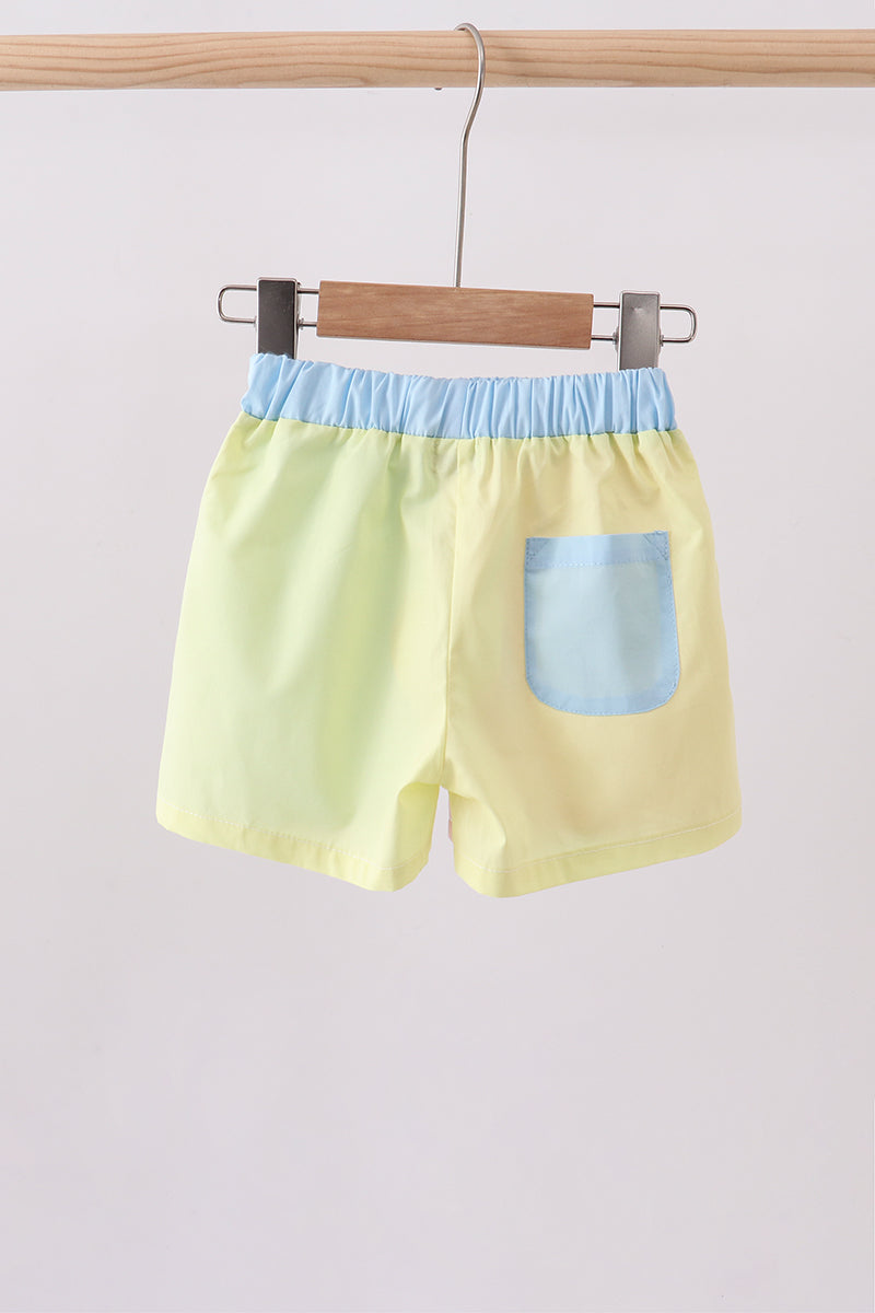 Multicolored colorblock shorts